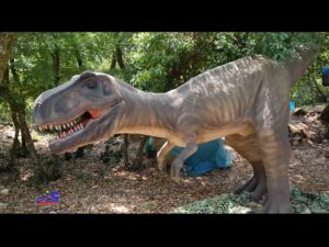 Vacation Urlaub Dinopark Funtana Croatia Istrien Dinosaurea