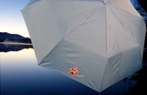 Regenschirm blau umbrella blue SchaRaEm Clown