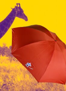 Regenschirm rot umbrella red SchaRaEm Clown